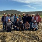El Marqués fortalece el campo con obras de nivelación de parcelas y caminos ejidales