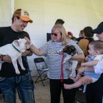 🐾✂️ El Marqués realizará 10 mil esterilizaciones gratuitas para perros y gatos en 2026