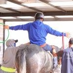 🐎DIF Corregidora impulsa autonomía de personas con discapacidad mediante programa gratuito de equinoterapia