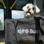 Inicia jornada de registro para mascotas en el programa PetFriendly, Qrobus