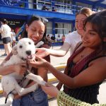🐾 Alianza entre UAQ y SEDEQ logra recaudar más de 850 kilos de alimento para mascotas