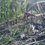 Brinda CEPCQ atención a incidente de aeronave en San Juan del Río