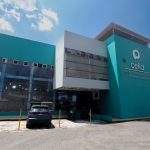 🐾 Universidad Autónoma de Querétaro abre inscripciones para el curso vacacional Verano Felinos 2026