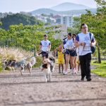 🐶📍 Anuncia Felifer Macías 500 tags de geolocalización para mascotas en Querétaro